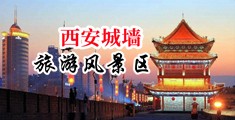 www.美女被操屄网站中国陕西-西安城墙旅游风景区