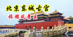 大哥操美女淫色中国北京-东城古宫旅游风景区